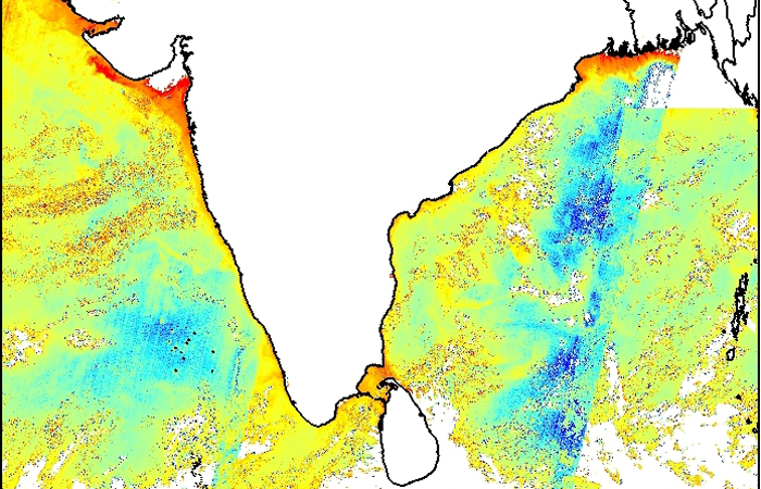 Theme-2:Boundary current dynamics, upwelling variability and ecosystem impacts