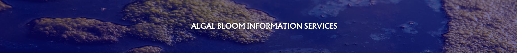 Inner Banner of Consumer Affairs